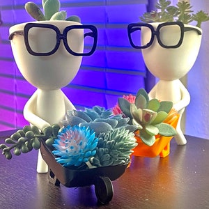 May include: Two white ceramic planters with black glasses and succulent plants. One planter is holding a wheelbarrow filled with blue and green succulents.