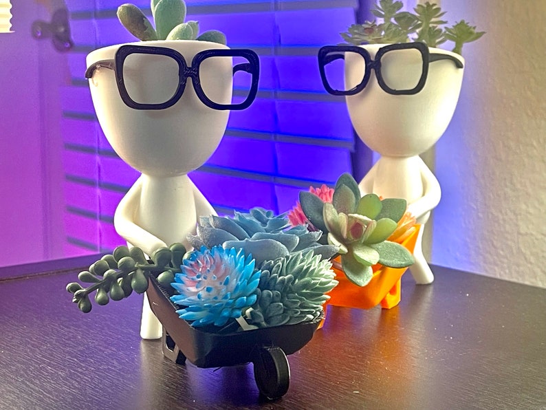 May include: Two white ceramic planters with black glasses and succulent plants. One planter is holding a wheelbarrow filled with blue and green succulents.
