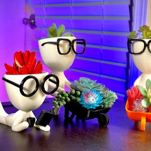 May include: Three white ceramic planters shaped like people with black glasses and different succulents. One planter is holding a small black wheelbarrow filled with succulents.