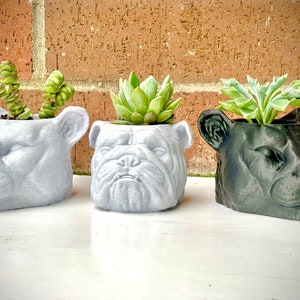 Bulldog & Panther Succulent Planter Set: 3D Printed Animal Pots