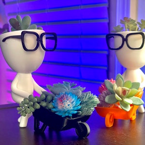 May include: Two white ceramic planters with black glasses and succulent plants. One planter is pushing a black wheelbarrow filled with succulents, the other planter is holding a small orange wheelbarrow filled with succulents.