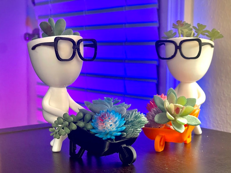 May include: Two white ceramic planters with black glasses and succulent plants. One planter is pushing a black wheelbarrow filled with succulents, the other planter is holding a small orange wheelbarrow filled with succulents.