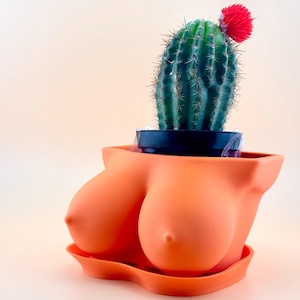 3D Printed Boobie Planter Pot, Unique Female Body Pot with Drainage Hole, Perfect for Indoor Plants, Ideal Feminist Gift, Mother’s Day