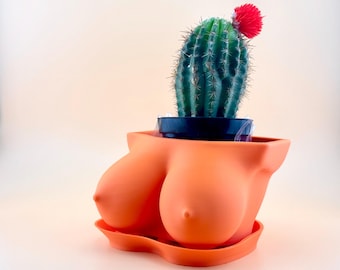 3D Printed Boobie Planter: Feminist Decor with Drainage