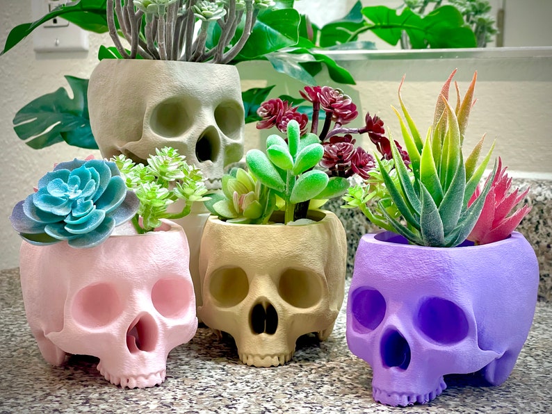 May include: Four skull-shaped planters in different colors, each holding a different type of succulent plant. The planters are made of a smooth, matte material and have a realistic skull design.