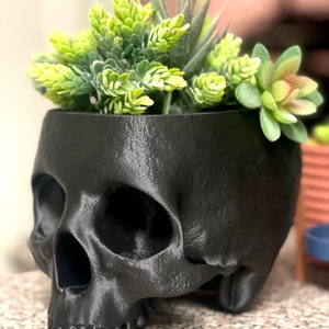 May include: A black skull-shaped planter with a variety of green succulents growing inside.