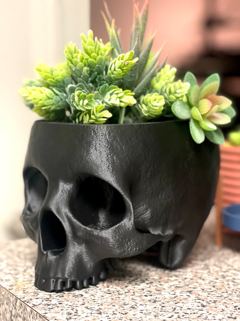 May include: A black skull-shaped planter with a variety of green succulents growing inside.