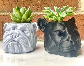 Cat lover planter, bulldog succulent pots leopard with drainage holes,  indoor cougar planter, dog and panther plant pot