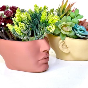 Face Planters, Face pot, Head Planters, Plant pot, unique planter, succulent planter, with drainage hole