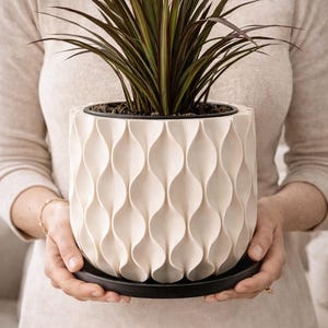 Può includere: Un vaso di ceramica strutturata color crema con un design ondulato, contenente una pianta con foglie verde scuro e bordeaux. Il vaso misura 19 cm per 19,7 cm e poggia su un piattino nero.