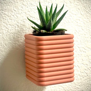 May include: A pink, layered, square planter with rounded edges holds a green succulent plant. The planter is mounted to a white wall.
