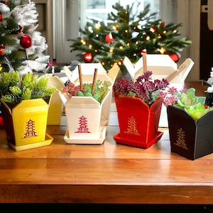 Könnte beinhalten: Vier kleine Topfpflanzen in Behältern zum Mitnehmen. Die Behälter sind weiß, rot, gelb und schwarz. Jeder Behälter hat ein Pagodenmuster auf der Seite. Die Pflanzen sind Sukkulenten.