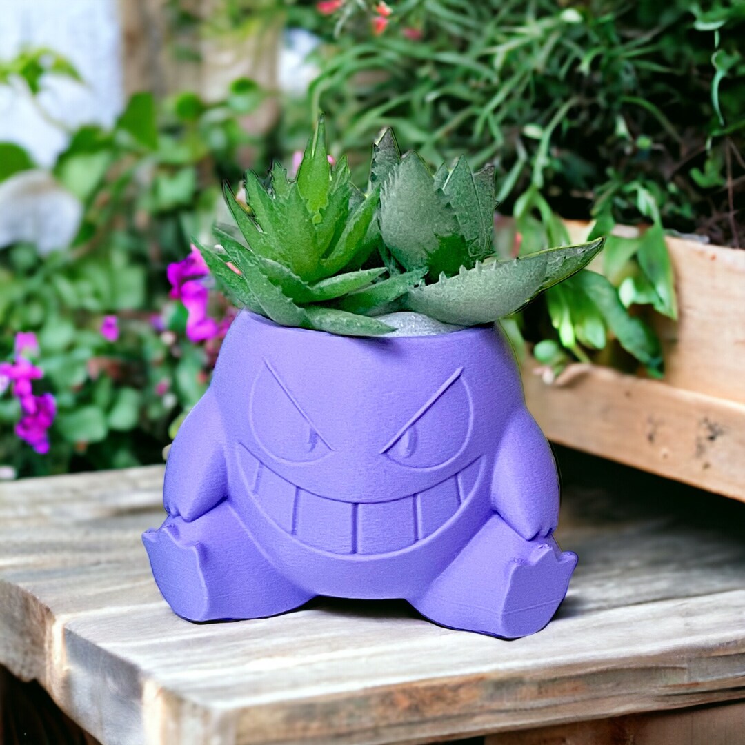 Pokémon / Planter Pots Succulents Plants, Squirtle, Eevee, Bulbasaur