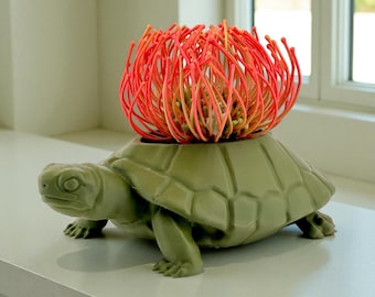 Maceta de tortuga para suculentas – Maceta con estampado 3D / Bonita maceta mate para decoración del hogar / Tamaños regular y grande / Regalo único para amantes de las plantas