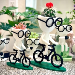 Puede incluir: Tres macetas de cerámica blanca con gafas de borde negro y suculentas están montando en bicicleta. Las macetas están sobre bases verdes.