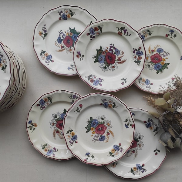 Ensemble de six assiettes plates anciennes Digoin Sarreguemines modèle "Agreste".