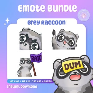 May include: A set of four grey raccoon emoticons with different expressions. The emoticons are in various poses, including one holding a purple flag with the word "RAID" on it and another with a yellow sticky note on its forehead that says "DUM".