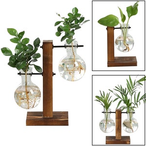 Glass Propagation Bulbs Vase with Wood Stand | Hydroponic Plant Stand | Propagation Station.