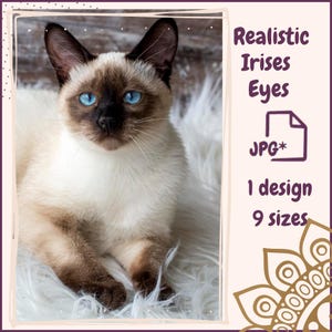 Op de afbeelding: Een Siamees kat met helderblauwe ogen en een crème- en bruine vacht is afgebeeld. De tekst luidt "Realistic Irises Eyes", "JPG*", "1 design" en "9 sizes". De kat ligt op een witte, zachte ondergrond.