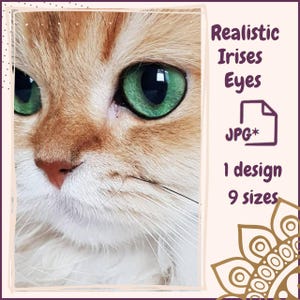 Może przedstawiać: Zbliżenie na pysk kota z wyrazistymi zielonymi oczami i pomarańczowo-białym futrem. Obraz zawiera tekst: "Realistic Irises Eyes", "JPG*", "1 design" i "9 sizes".