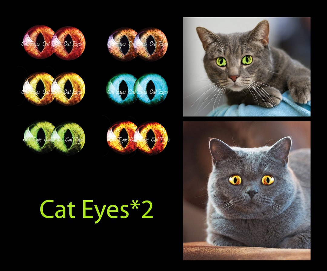 Eyes for Printing Realistic Irises Cat Eyes Cat Irises Realistic Eyes
