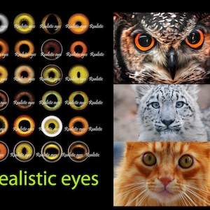 Puede incluir: Una colección de 20 imágenes realistas de ojos de animales. Los ojos son de varios colores, incluyendo marrón, naranja, amarillo y azul. Las imágenes están dispuestas en una cuadrícula.