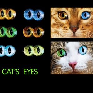Eyes for Printing Realistic Irises Cat Eyes Cat Irises Realistic Eyes Doll Eyes Teddy Bear Bottle Caps Pendants Paper Crafts Digital Collage