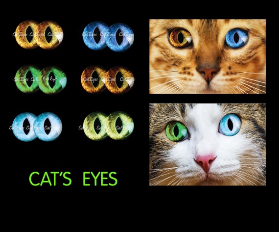 Preview of Eyes for Printing Realistic Irises Cat Eyes Cat Irises Realistic Eyes Doll Eyes Teddy Bear Bottle Caps Pendants Paper Crafts Digital Collage by VariousPatterns