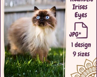 Eyes for Printing Realistic Irises Cat Eyes Cat Irises Realistic Eyes Doll Eyes Teddy Bear Bottle Caps Pendants Paper Crafts Digital Collage