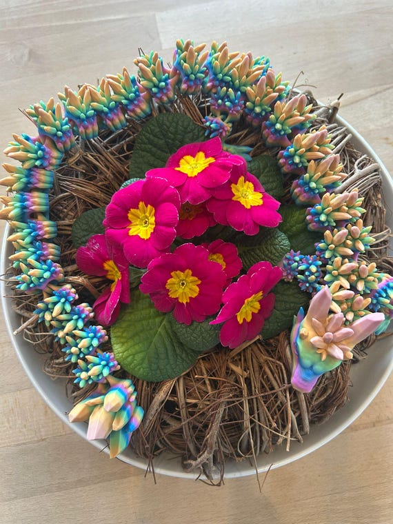 25 cm Rainbow Dragon - Flexi