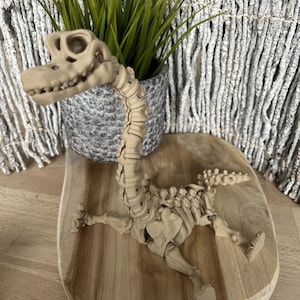 Könnte beinhalten: Eine beige Dinosaurier-Skelett-Figur liegt auf einem Holzschneidebrett. Der Dinosaurier befindet sich in einer entspannten Pose. Ein kleiner grauer Topf mit grünem Gras befindet sich hinter dem Dinosaurier. Der Hintergrund umfasst ein weißes gewebtes Dekorationselement.