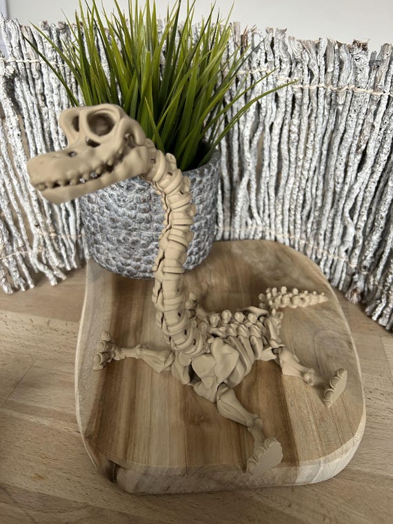 20 cm Brachiosaurus - Flexi