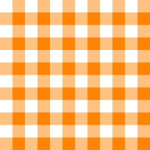 May include: Orange and white checkered pattern. This pattern is often used for picnic blankets, tablecloths, and other home decor items.