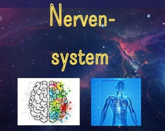 Nervous System Script (PDF)