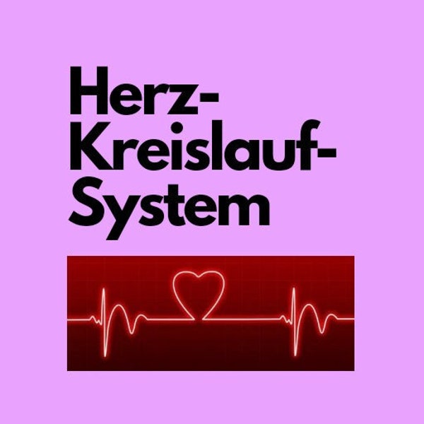 Herz-Kreislauf-System Lernzettel (PDF)