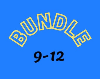 Bundle Lernfeld 9-12 (PDF)