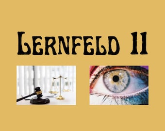 Lernfeld 11 (PDF)