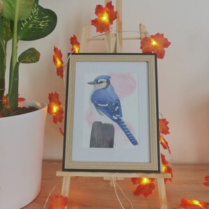 Geai bleu - Impression carte A5