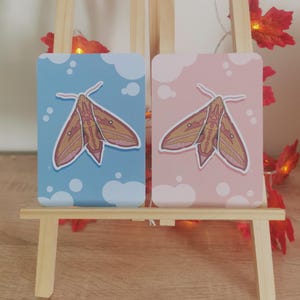 Papillon Sphinx de la Vigne - Impression Carte A6
