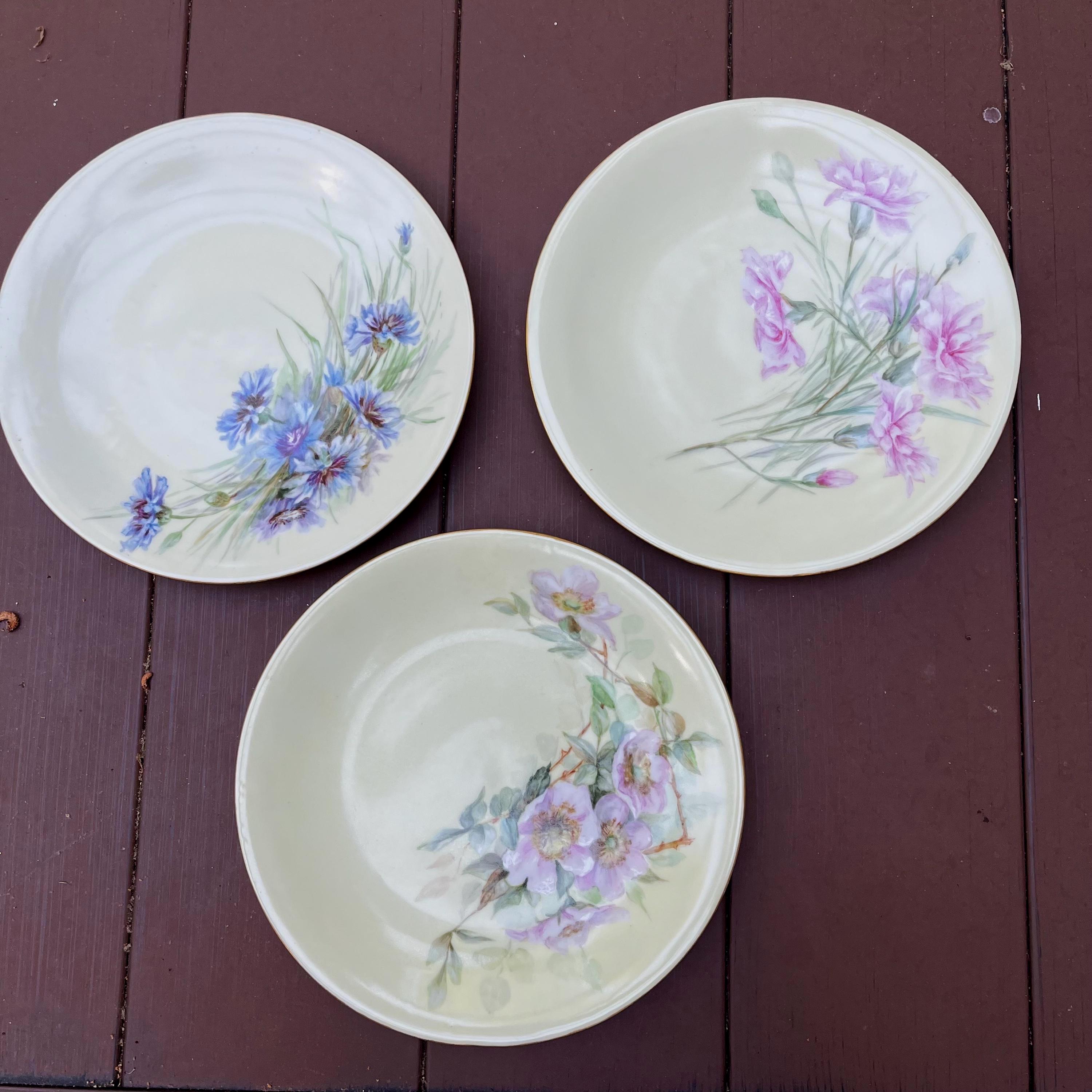 Hand Painted Limoges - Etsy