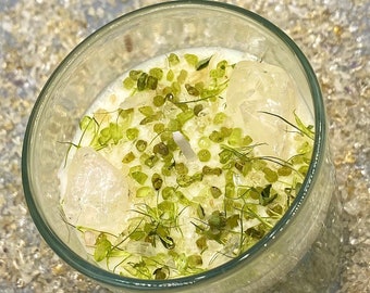 ABUNDANCE | Citrine Peridot Clear Quartz Crystal Infused Candle 100% Soy Wax | Magic Candle | Prosperity | Fertility | Growth