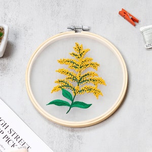 Transparant borduurpakket voor beginners | Modern borduurpakket voor cadeau | Handbloemborduurset voor haar | Doe-het-zelf borduurpakket