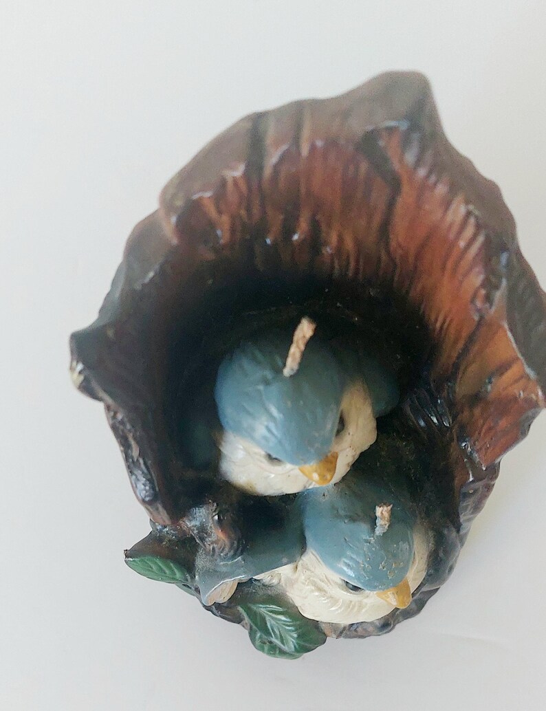 May include: A pair of bluebird candles nestled in a brown tree trunk candle holder. The birds have white bellies and black eyes. The candle holder has green leaves.