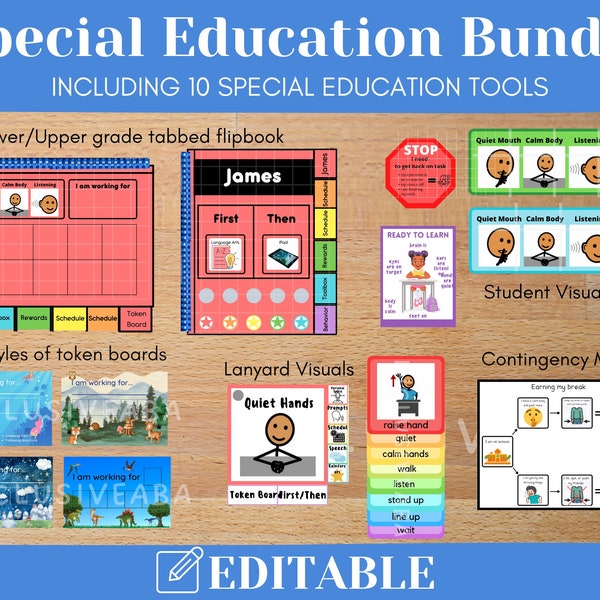 Special Education Tools Bundle, Token Board, Visual Prompts, Visual Schedule, Voice Level Chart, Teacher Lanyard Visuals, Instant Download