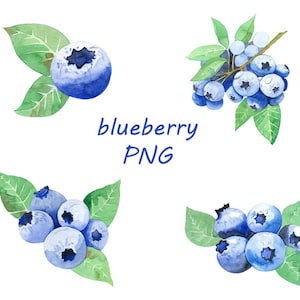 watercolor blueberry print, watercolor blueberry images, watercolor blueberry PNG, watercolor blueberry set