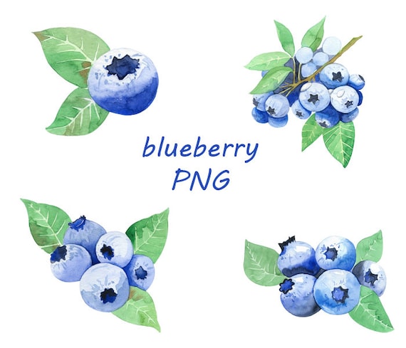 Blueberry Printed Collection Blueberry Printed Collection