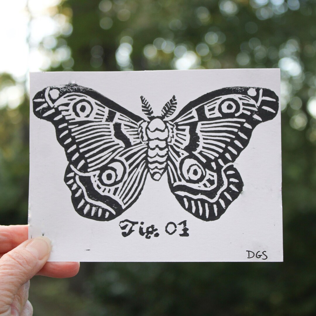 Mystery Moth Linocut Block Print | 4.5 X 6 Mini Print | Printmaking ...