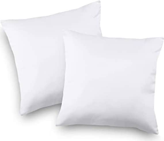 Utopia Bedding Throw Pillows Insert (Pack of 2, White) - 18 x 18 Inches Bed  and Couch Pillows - Indoor Decorative Pillows