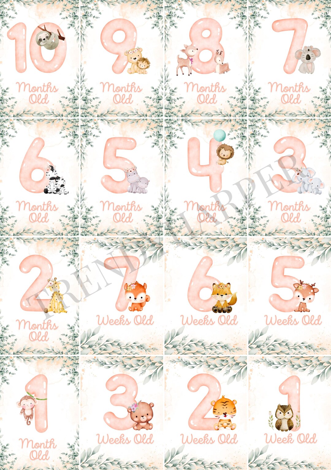 Woodland Baby Milestone Cards: Watercolor Animals (printable PDF) - Etsy