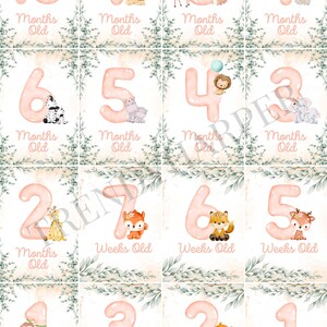 Cartes jalons bébé des bois, premier an de bébé, cartes jalons imprimables, cadeau baby shower